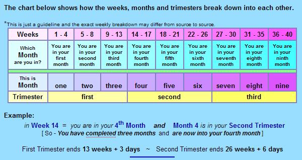 Pregnancy Trimester Weeks Chart