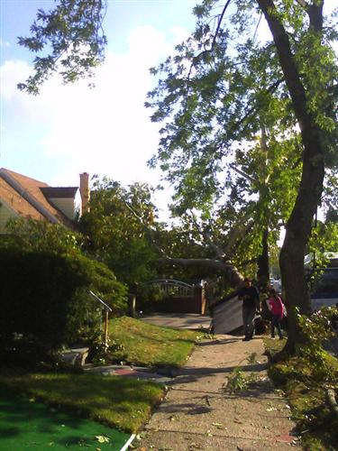 External Image
