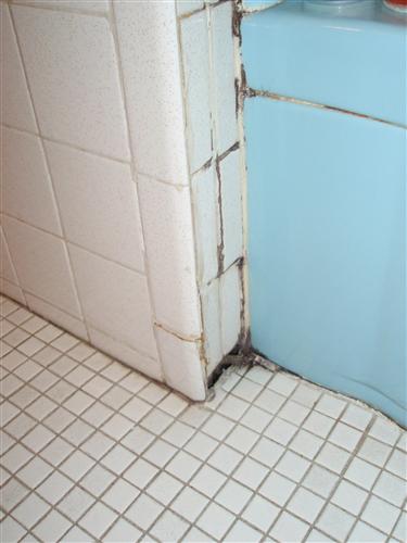 External Image