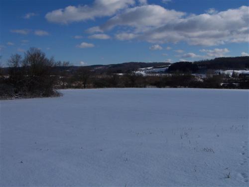 External Image
