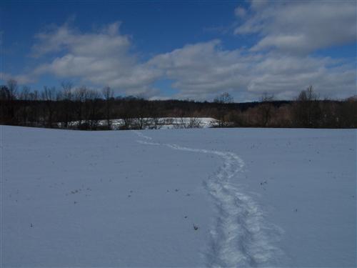 External Image