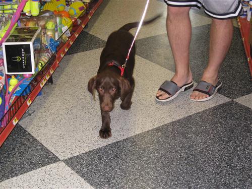 External Image