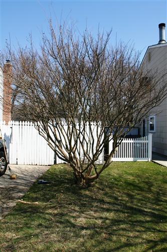 External Image